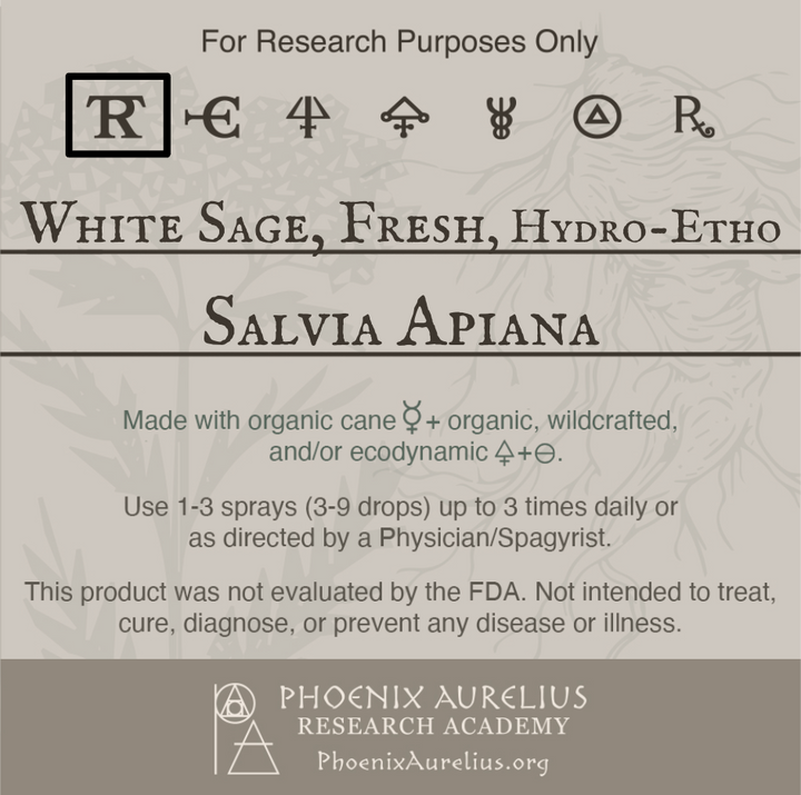 White-Sage-Fresh-Hydroethanolic-Spagyric-Tincture-aurelian-spagyria