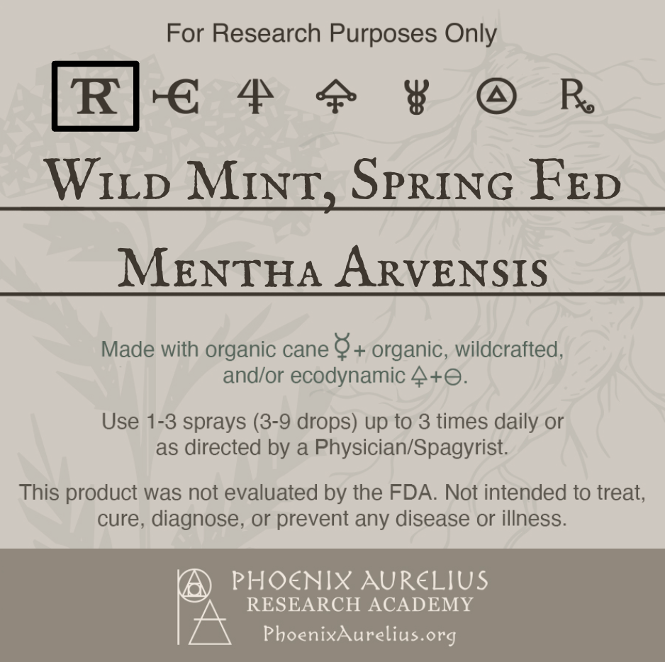 Wild-Mint-Spring-Fed-Spagyric-Tincture-aurelian-spagyria