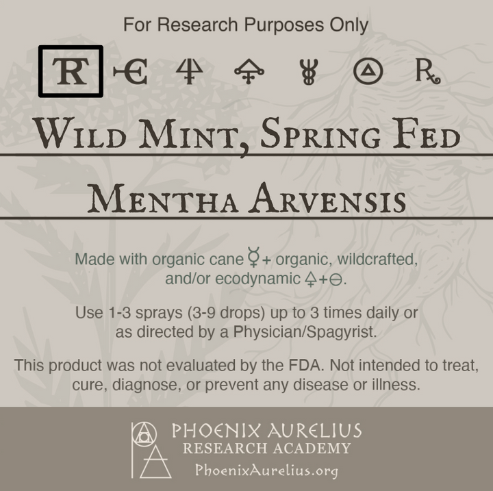Wild-Mint-Spring-Fed-Spagyric-Tincture-aurelian-spagyria