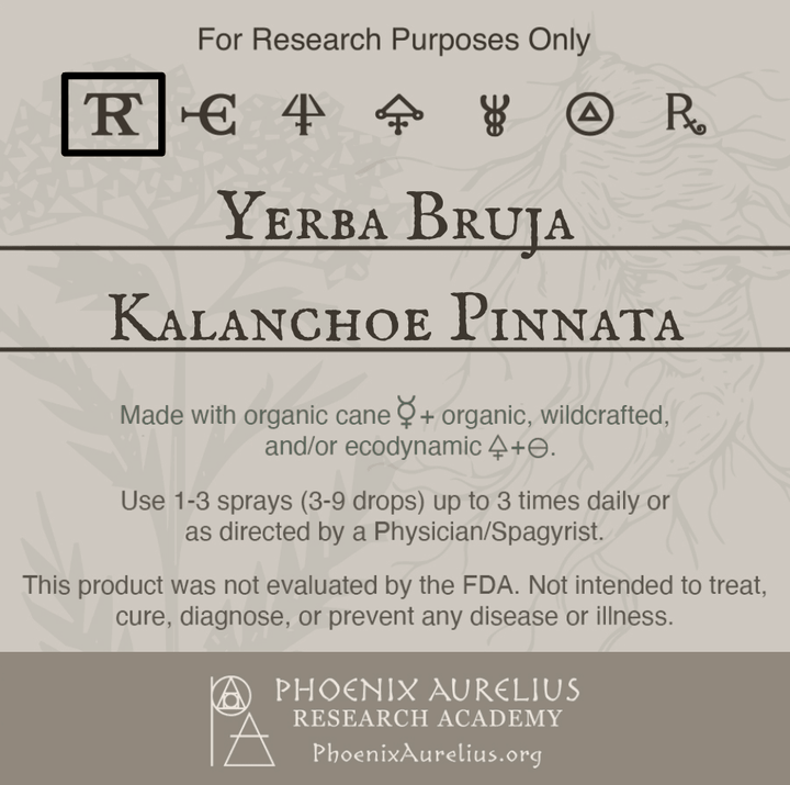 Yerba-Bruja-Spagyric-Tincture-aurelian-spagyria