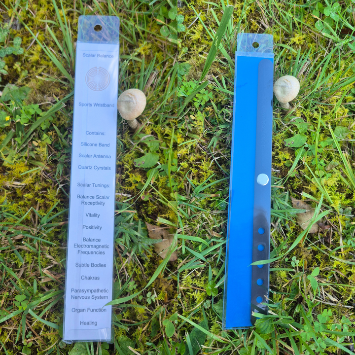 Scalar Balance Wristband
