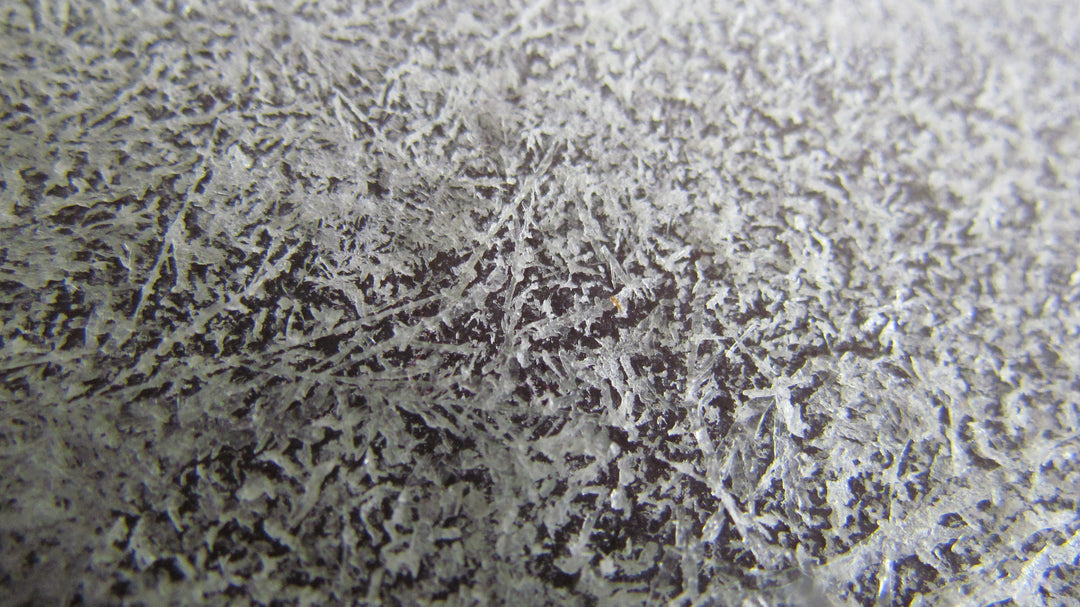 Spagyric Elixir of American Ginseng 20-40yr old Root