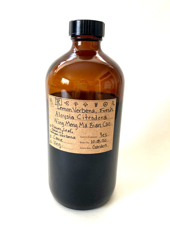 Lemon Verbena, Fresh Spagyric Tincture - Phoenix Aurelius Research Academy