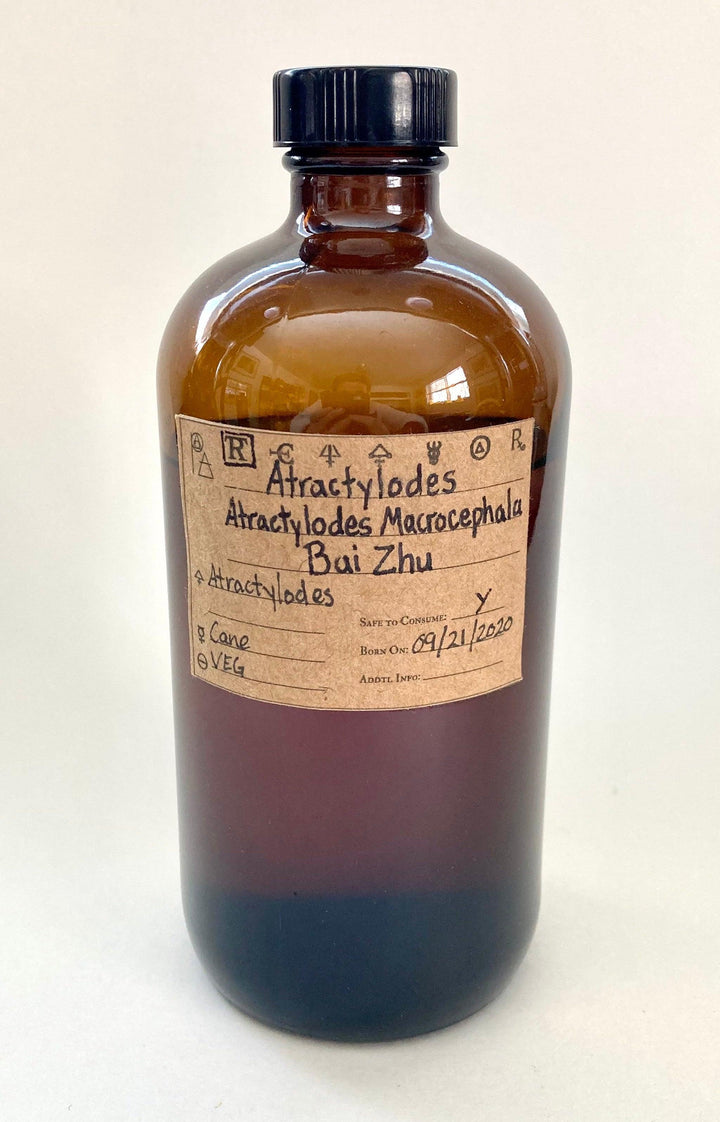 Atractylodes Spagyric Tincture