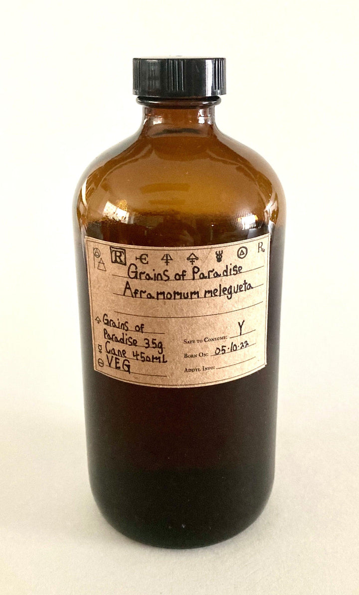 Grains of Paradise Spagyric Tincture