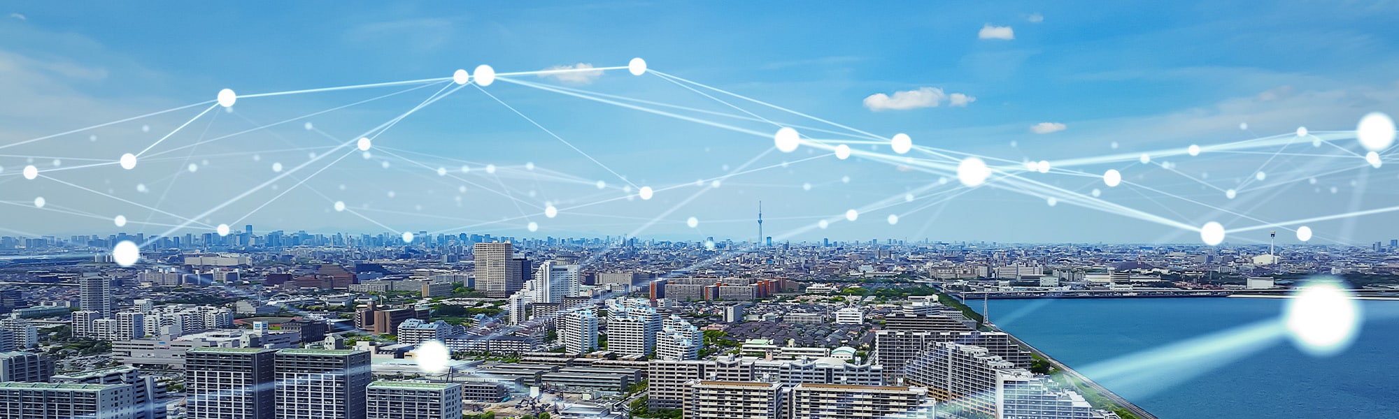 The Dangers Of EMFs & 12 Things You Can Do To Mitigate The Damage