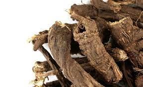 Osha Root