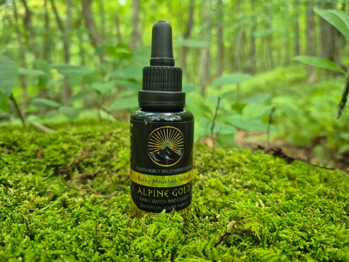 Alpine Gold Shilajit – North American Shilajit from the Rocky Mountains