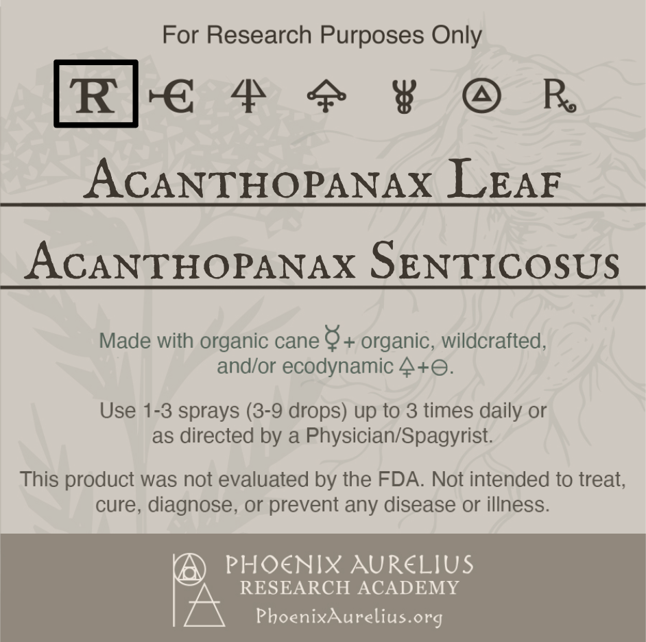 Acanthopanax-Leaf-Spagyric-Tincture-aurelian-spagyria