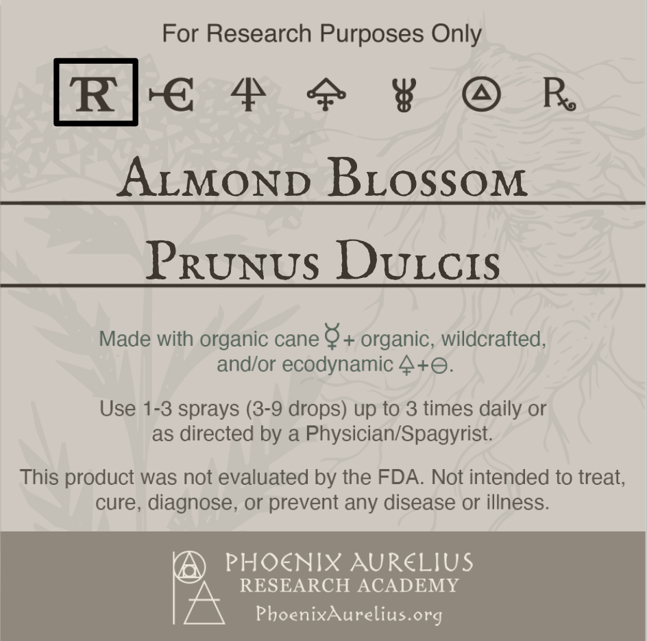 Almond-Blossom-Spagyric-Tincture-aurelian-spagyria