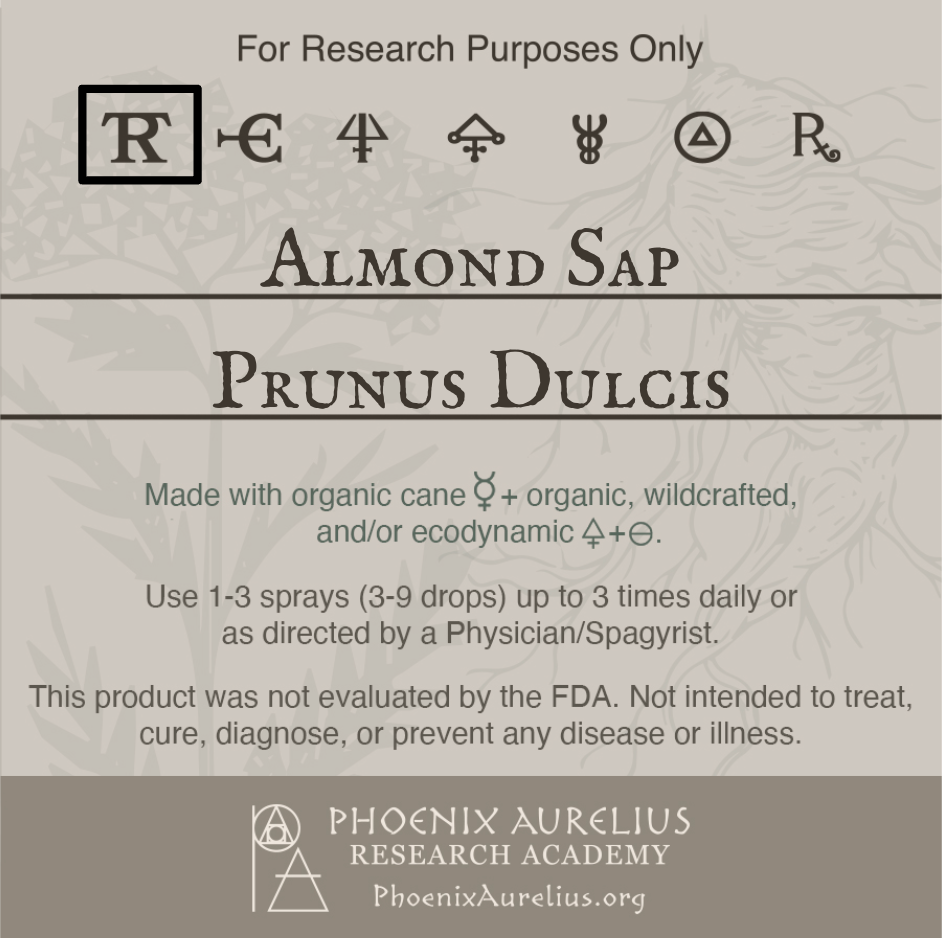 Almond-Sap-Spagyric-Tincture-aurelian-spagyria