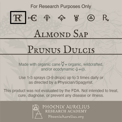 Almond-Sap-Spagyric-Tincture-aurelian-spagyria
