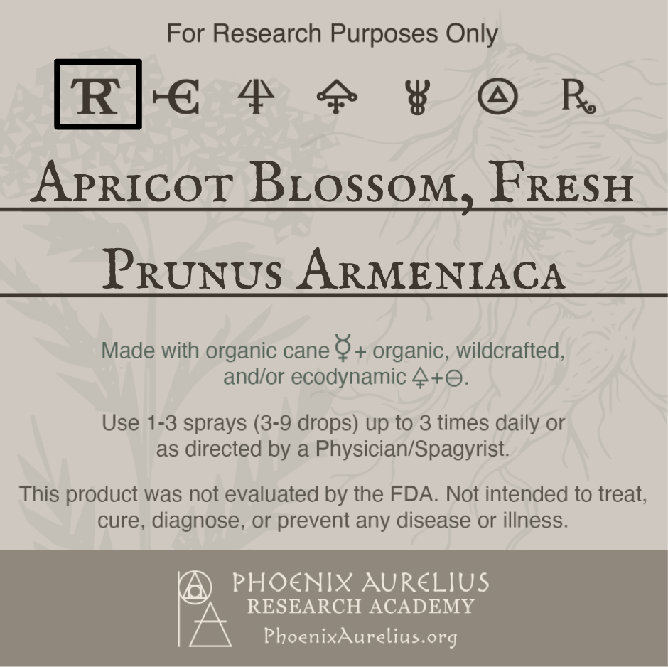 Apricot-Blossom-Spagyric-Tincture-aurelian-spagyria