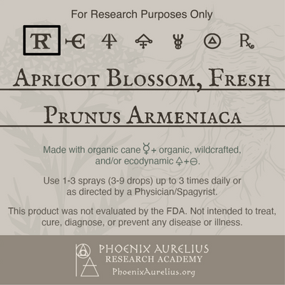 Apricot-Blossom-Spagyric-Tincture-aurelian-spagyria