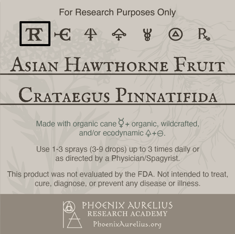 Asian-Hawthorne-Fruit-Spagyric-Tincture-aurelian-spagyria
