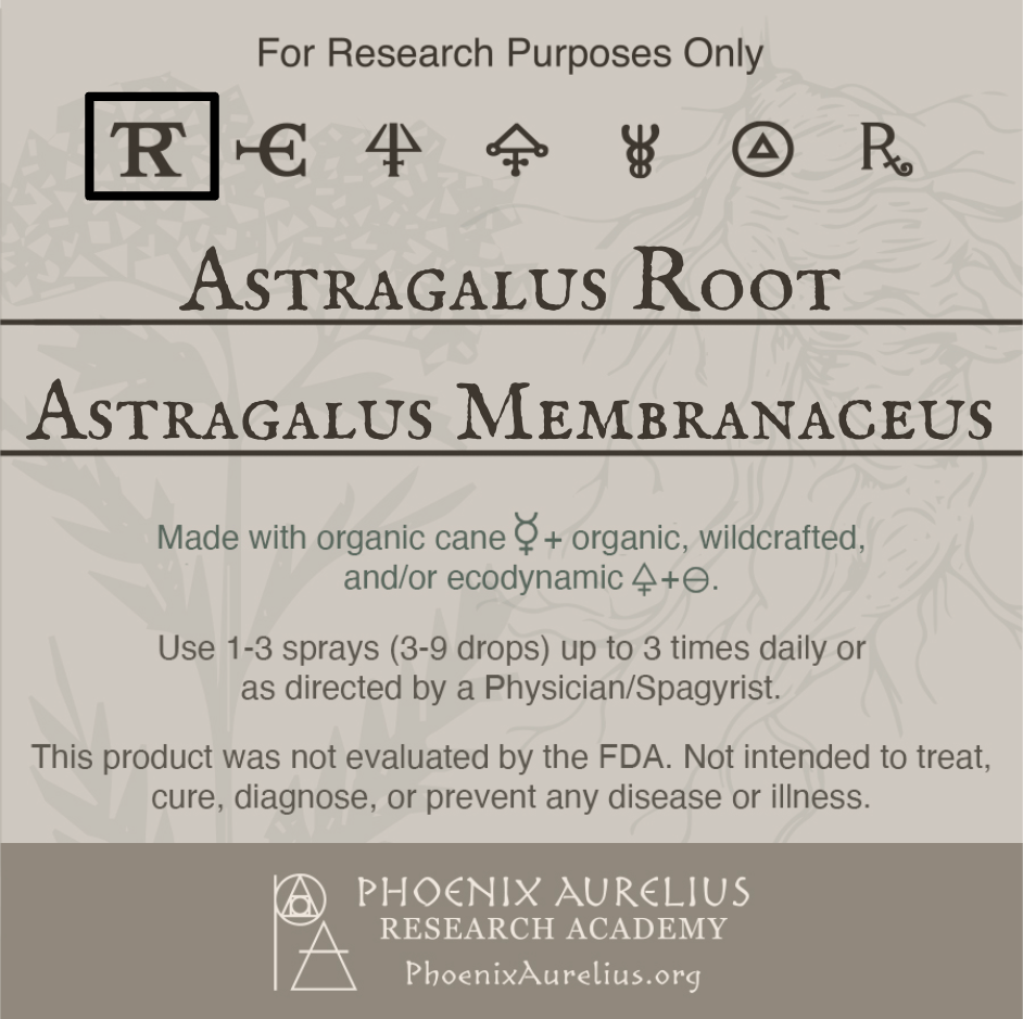 Astragalus-Root-Spagyric-Tincture-aurelian-spagyria