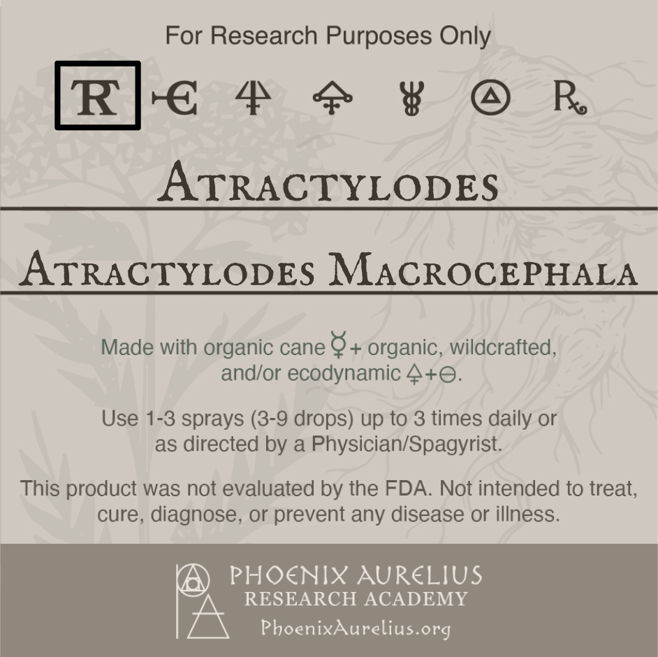 Atractylodes-Spagyric-Tincture-aurelian-spagyria