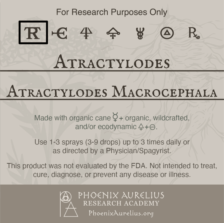 Atractylodes-Spagyric-Tincture-aurelian-spagyria