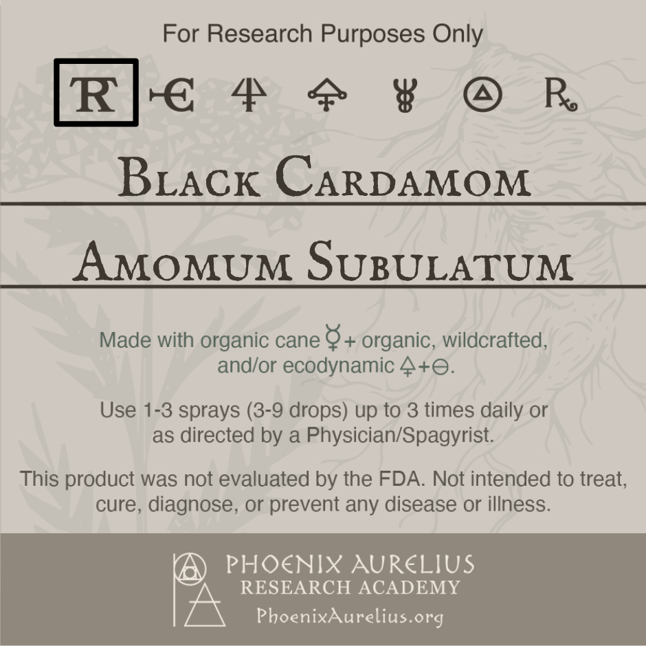 Black-Cardamom-Spagyric-Tincture-aurelian-spagyria