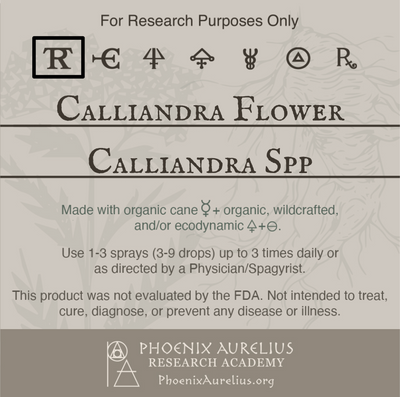 Calliandra-Flower-Spagyric-Tincture-aurelian-spagyria