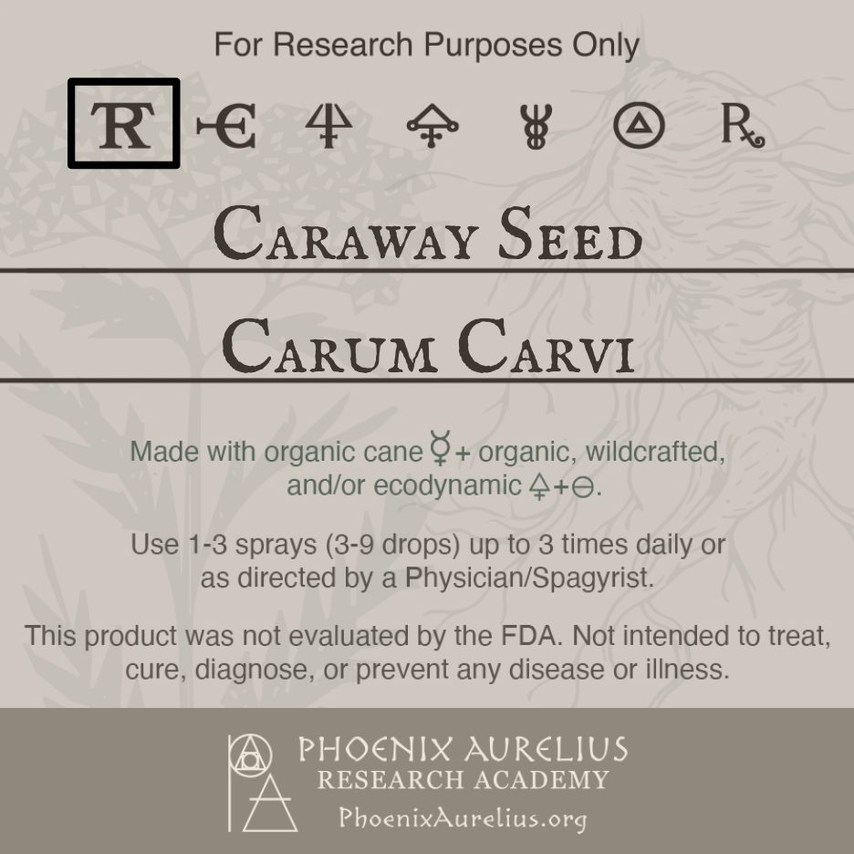 Caraway-Seed-Spagyric-Tincture-aurelian-spagyria