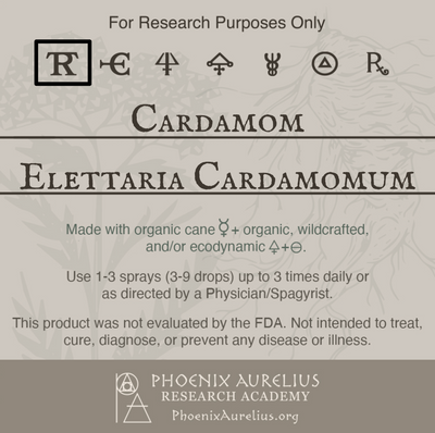 Cardamom-Spagyric-Tincture-aurelian-spagyria