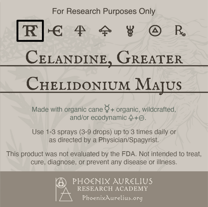 Celandine-Greater-Spagyric-Tincture-aurelian-spagyria