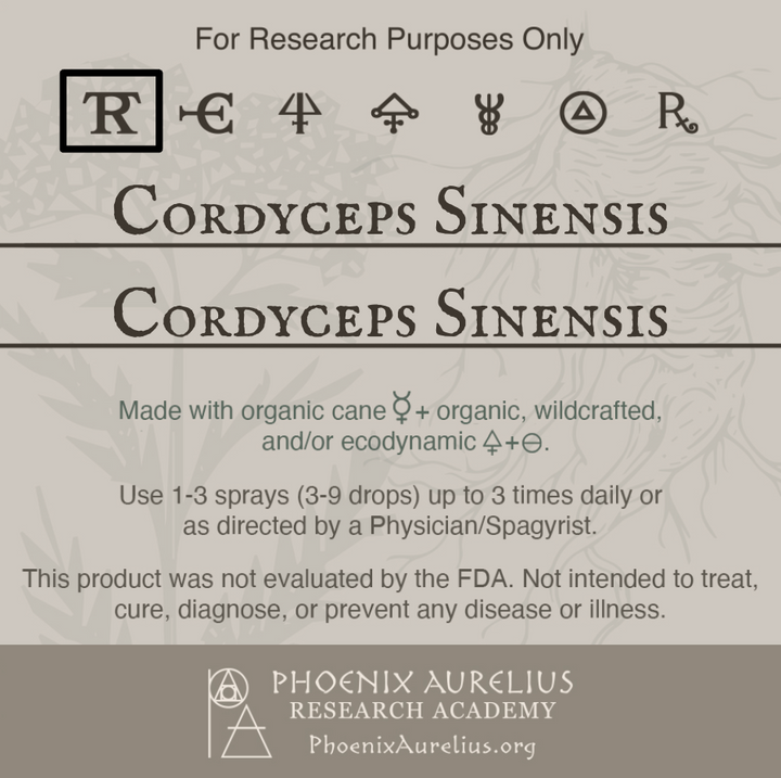Cordyceps-Sinensis-Spagyric-Tincture-aurelian-spagyria