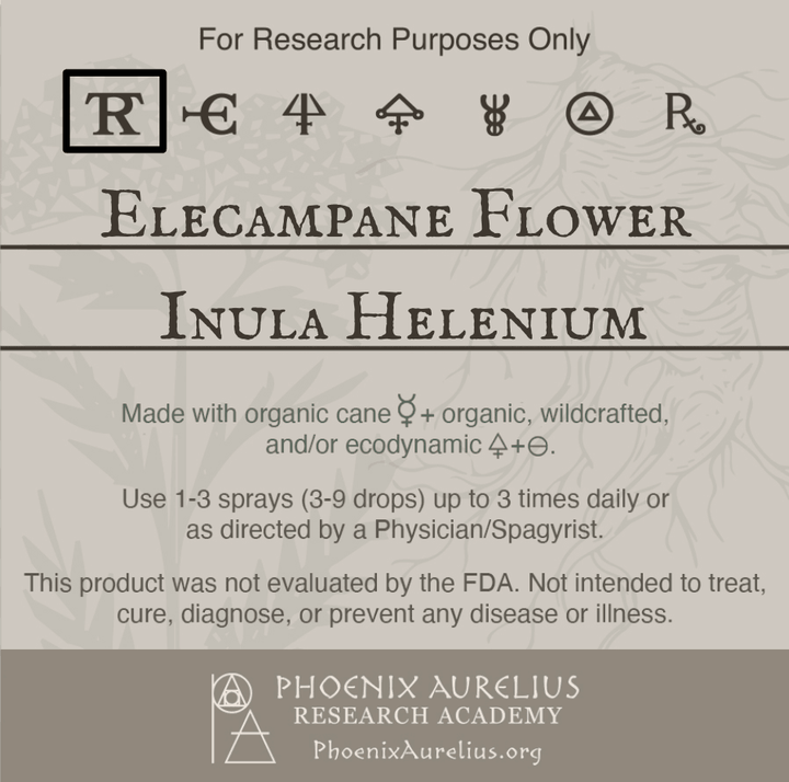 Elecampane-Flower-Spagyric-Tincture-aurelian-spagyria