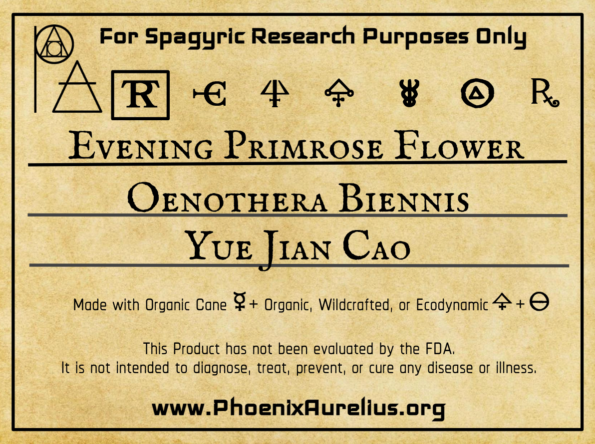 Evening Primrose Flower Spagyric Tincture Phoenix Aurelius Research Academy
