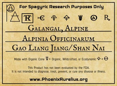 Galangal, Alpine, Spagyric Tincture