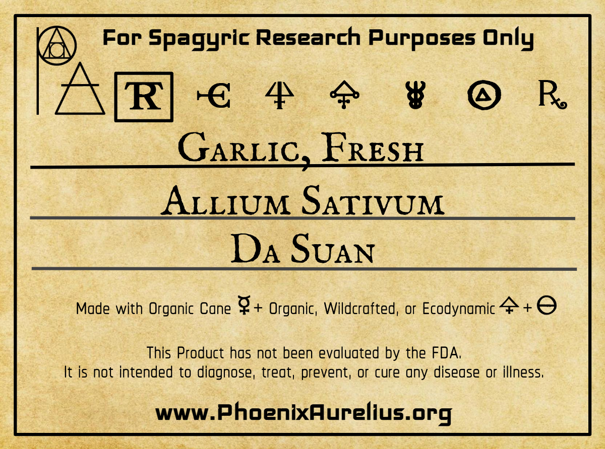 Garlic, Fresh, Spagyric Tincture