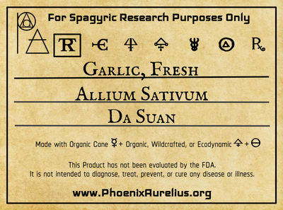 Garlic, Fresh, Spagyric Tincture
