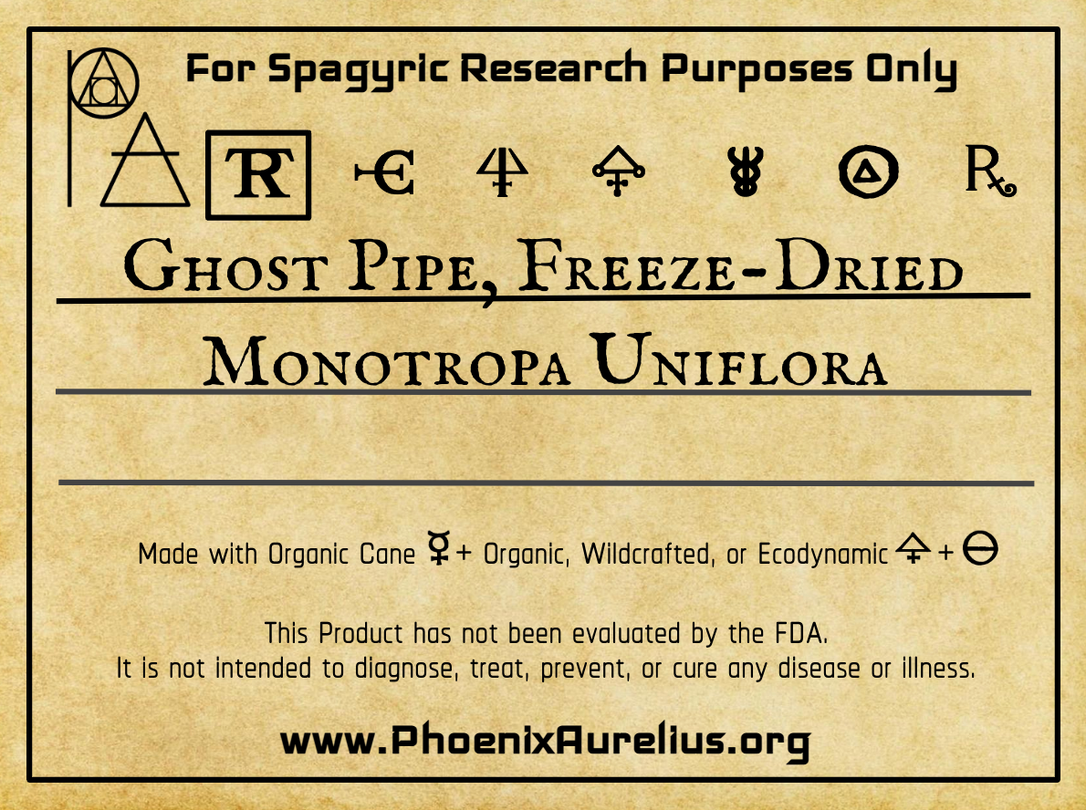 Ghost Pipe, Freeze-Dried, Spagyric Tincture