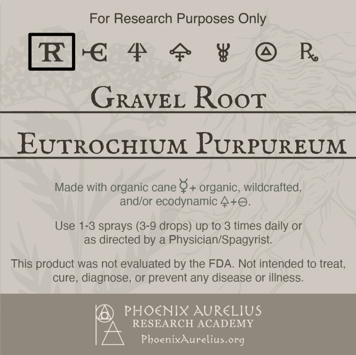 Gravel-Root-Spagyric-Tincture-aurelian-spagyria