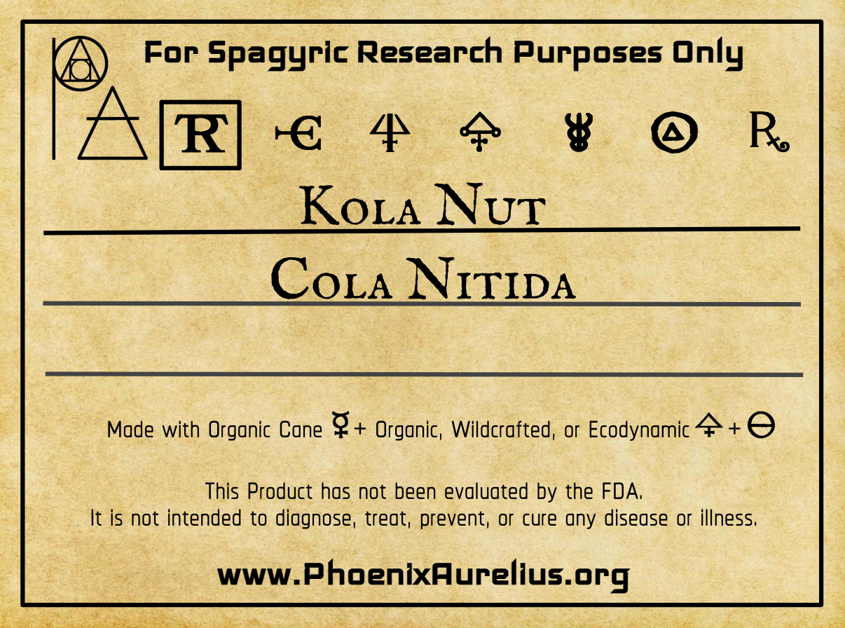 Kola Nut Spagyric Tincture