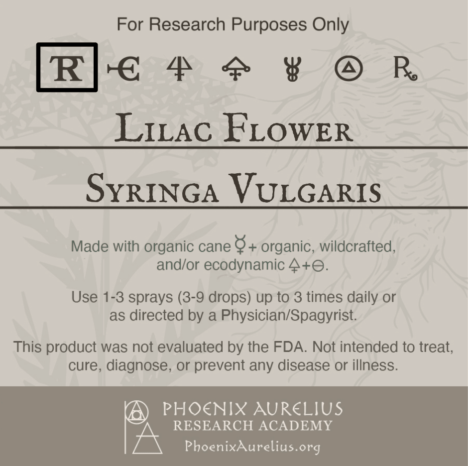 Lilac-Flower-Spagyric-Tincture-aurelian-spagyria