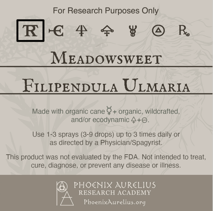 Meadowsweet-Spagyric-Tincture-aurelian-spagyria