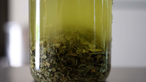 Moringa Spagyric Clyssus WITHOUT Glycosides