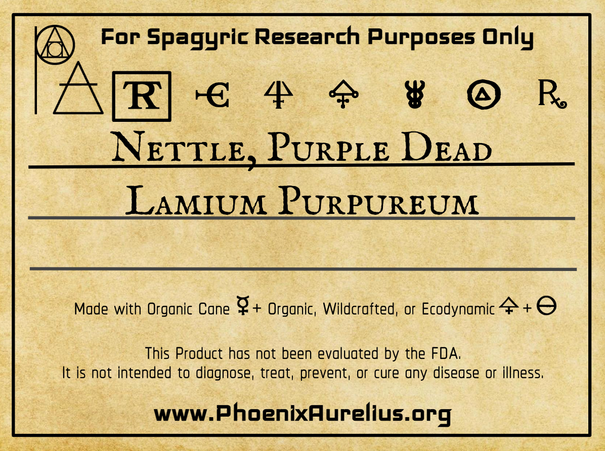 Nettle, Purple Dead, Spagyric Tincture