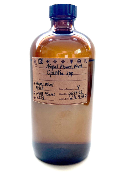 Nopal Flower, Fresh, Spagyric Tincture