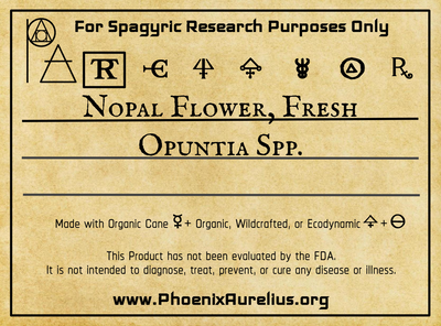 Nopal Flower, Fresh, Spagyric Tincture