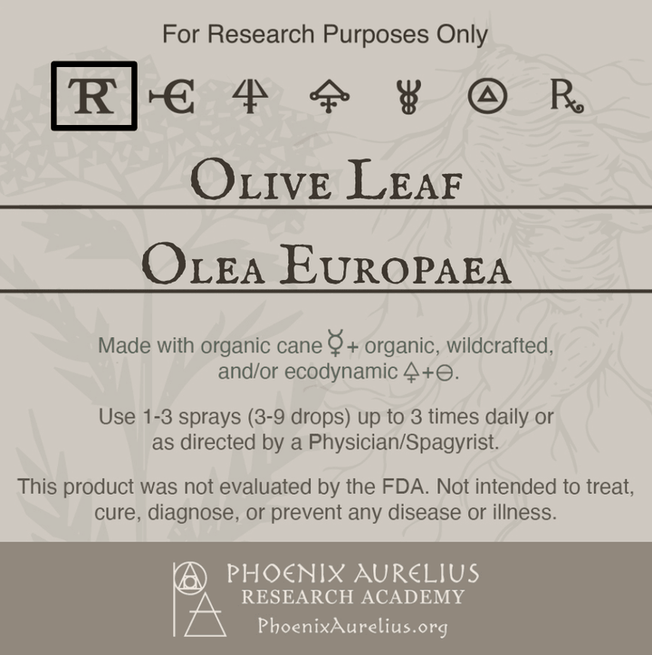 Olive-Leaf-Spagyric-Tincture-aurelian-spagyria