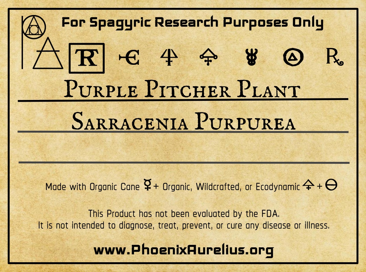 Purple Pitcher Plant Spagyric Tincture