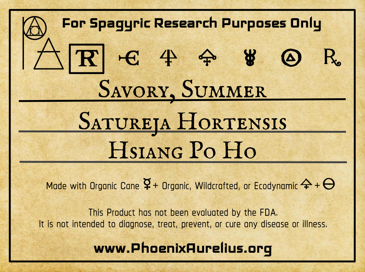 Savory, Summer, Spagyric Tincture
