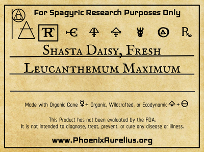 Shasta Daisy, Fresh, Spagyric Tincture