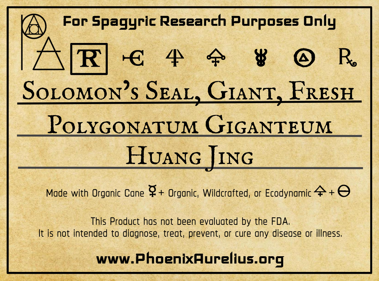 Solomon's Seal, Giant, Fresh, Spagyric Tincture