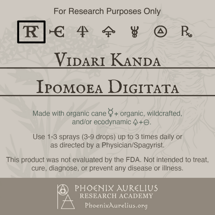 Vidari-Kanda-Spagyric-Tincture-aurelian-spagyria