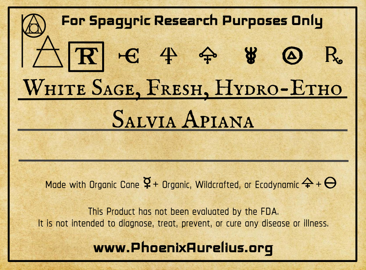 White Sage, Fresh, Hydroethanolic, Spagyric Tincture
