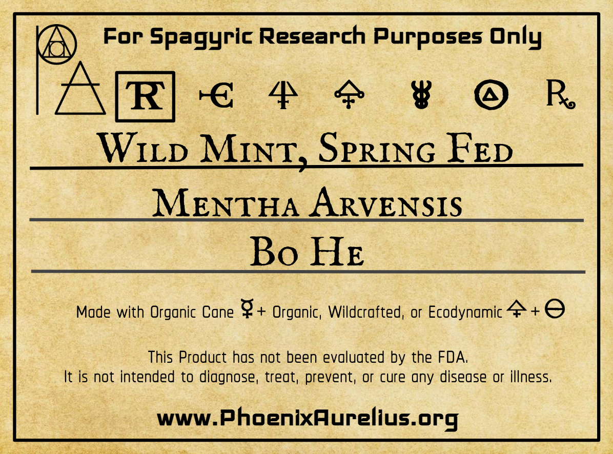 Wild Mint, Spring Fed, Spagyric Tincture